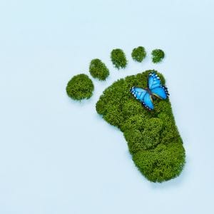 Een groene voetafdruk gemaakt van mos met een blauwe vlinder erop, die duurzaamheid en milieubewustzijn symboliseert.