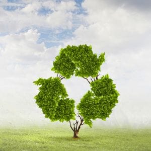 Boom met blauwe lucht en de blaadjes zijn in de vorm van het groene recyclingteken.