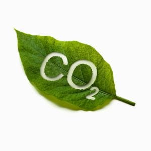 Een groen blaadje met Co2 erin geschreven